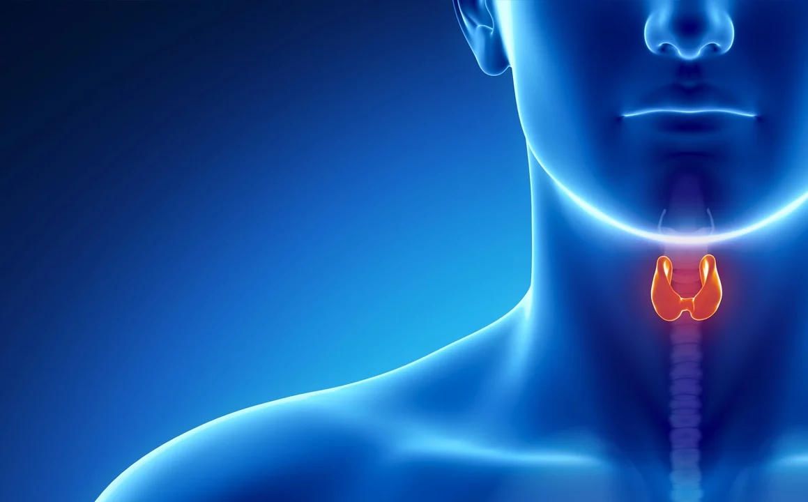 The Role of Iodine in Preventing Thyroid Deficiency