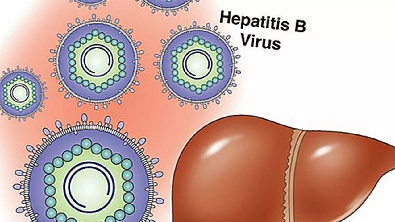 Understanding Hepatitis B e Antigen (HBeAg) in Chronic Hepatitis B